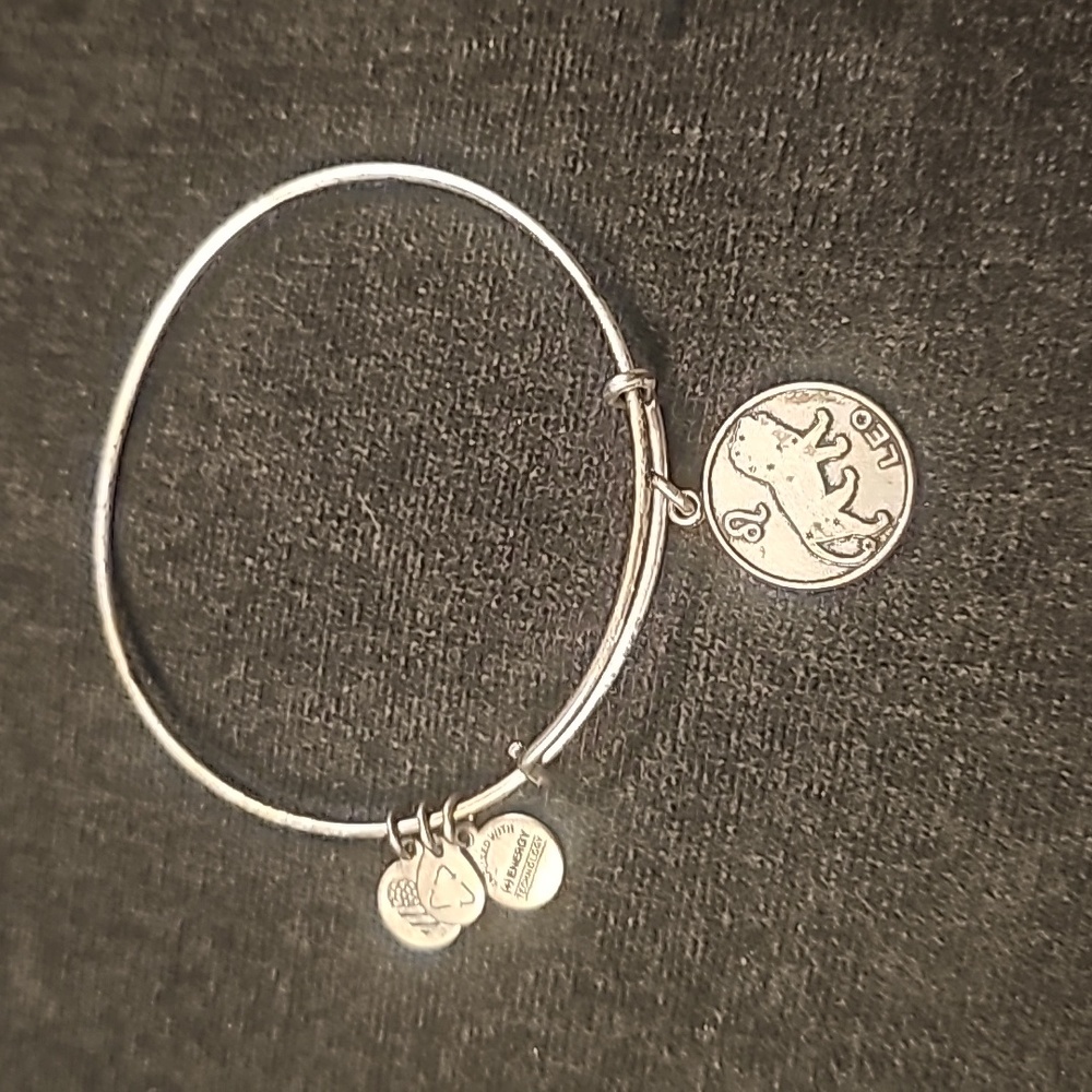 Alex and Ani bangle bracelet